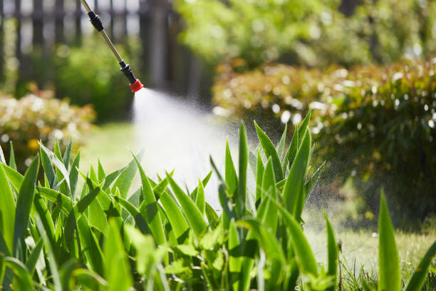 24/7 Emergency Mosquito Control experts in Spring Hill, TN
