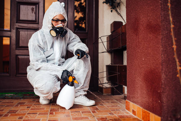 Reliable Mosquito Control contractor in Spring Hill, TN by Show Me Pest Control